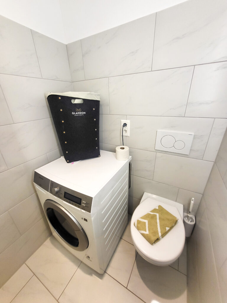 20240710 Wabern 17W Waschmaschine WC