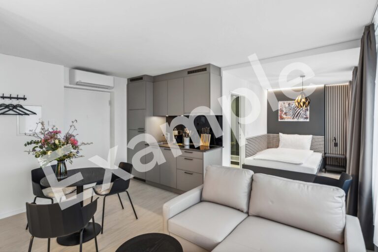 20270327 Holzikofen 401HW Wohnzimmer 1 E