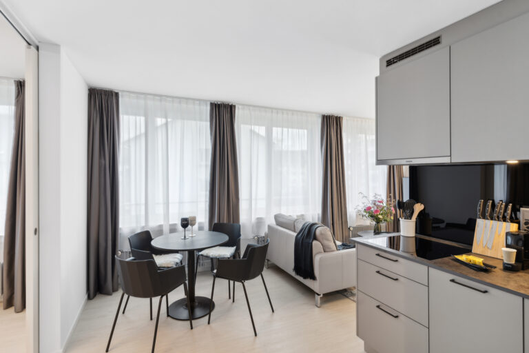 20270327 Holzikofen 404HW Wohnzimmer 2