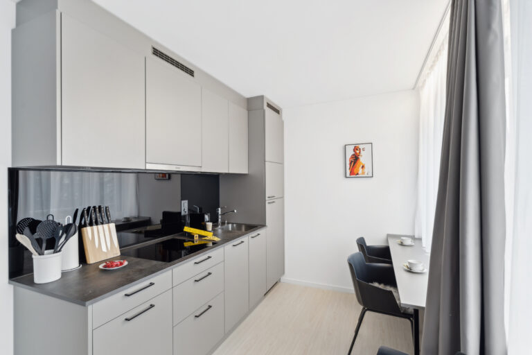 20270327 Holzikofen 409HW Kueche 1