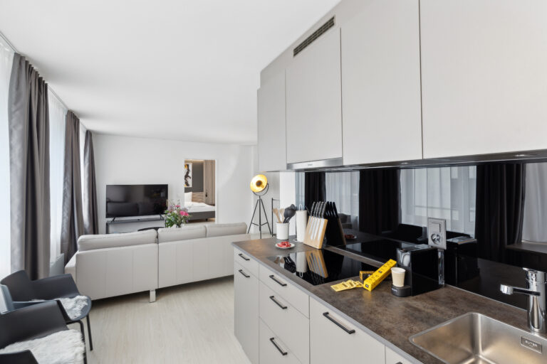 20270327 Holzikofen 409HW Kueche 2