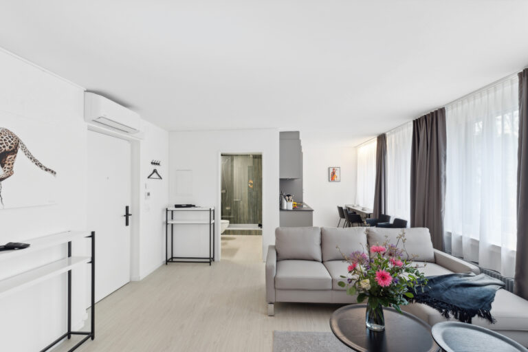 20270327 Holzikofen 409HW Wohnzimmer 1