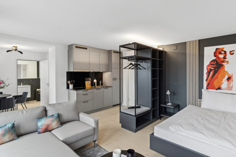 20270327 Holzikofen 412HW Wohnzimmer 1