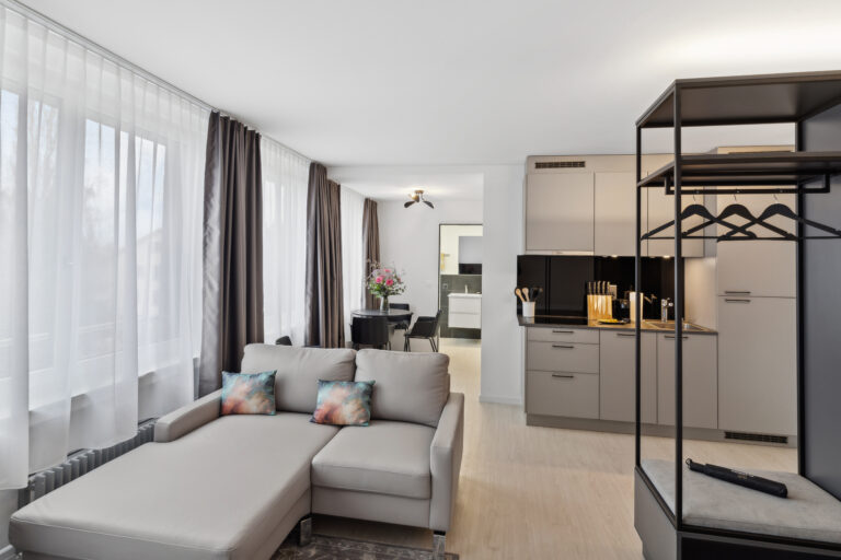20270327 Holzikofen 412HW Wohnzimmer 2