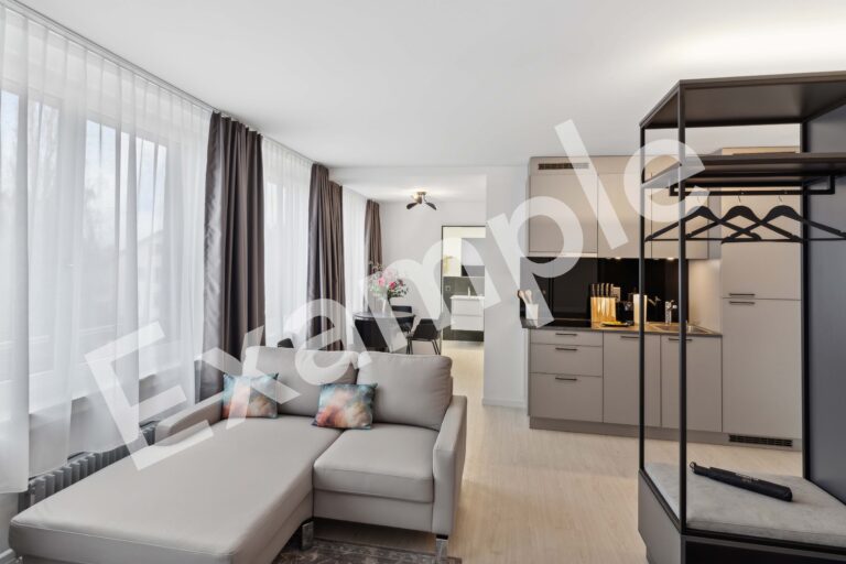 20270327 Holzikofen 412HW Wohnzimmer 2 E