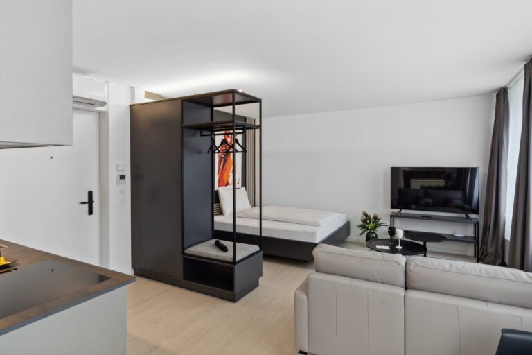 20270327 Holzikofen 412HW Wohnzimmer 3