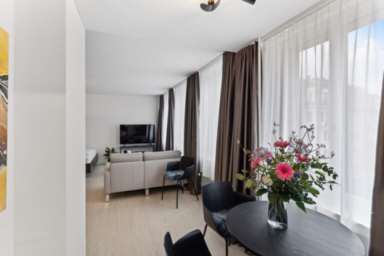 20270327 Holzikofen 412HW Wohnzimmer 4