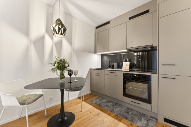 Serviced-apartment-luzern-loewengraben-kueche-32l-01