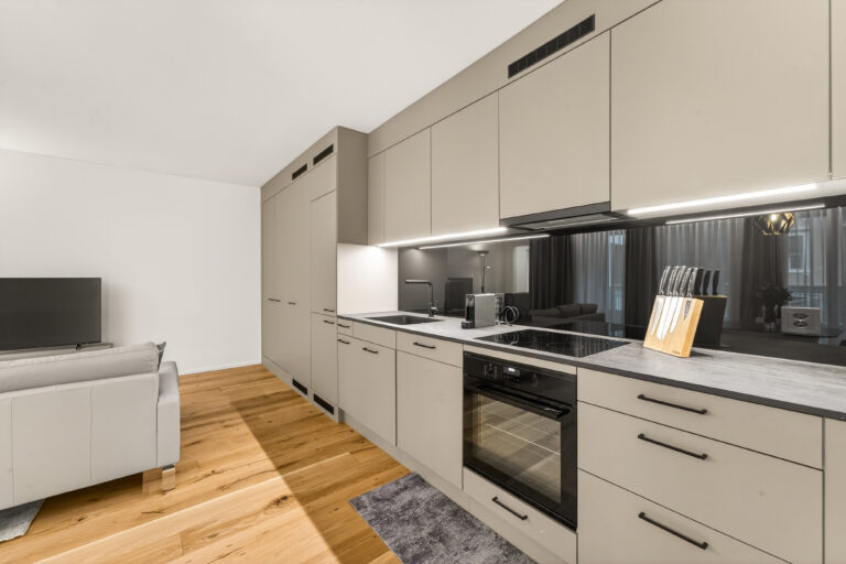 Serviced-apartment-luzern-loewengraben-kueche-37l-02