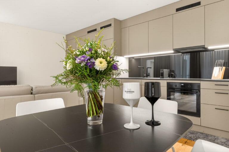 Serviced-apartment-luzern-loewengraben-stimmung-37l