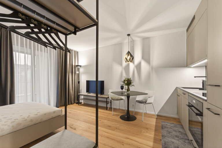 Serviced-apartment-luzern-loewengraben-wohnzimmer-32l