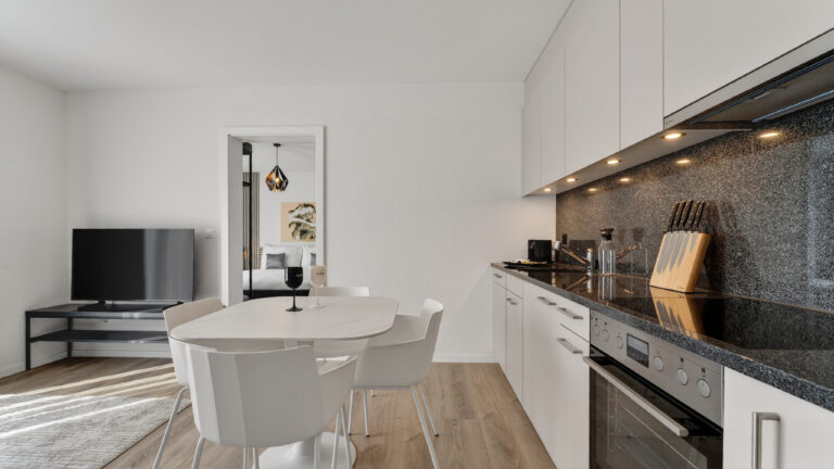 Serviced-apartment-biel-esplanade-kitchen-42EP-01