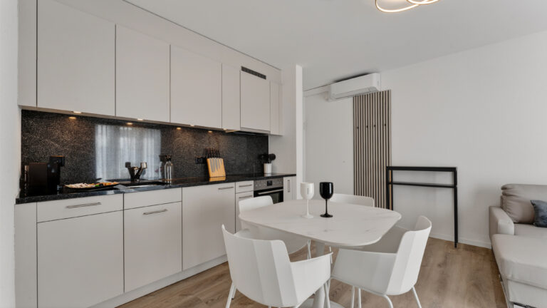 Serviced-apartment-biel-esplanade-kitchen-42EP-03