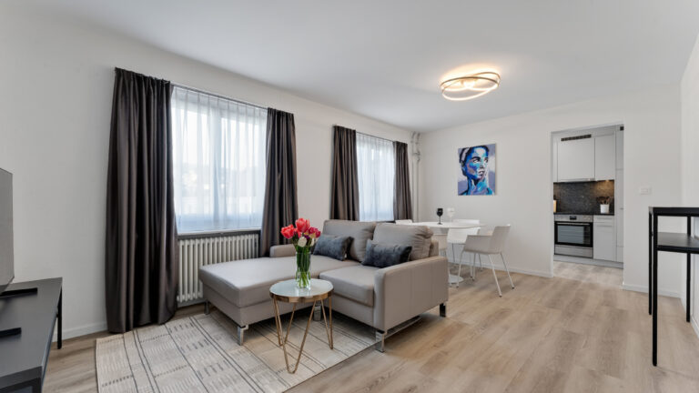 Serviced-apartment-biel-esplanade-living-room-41EP-01