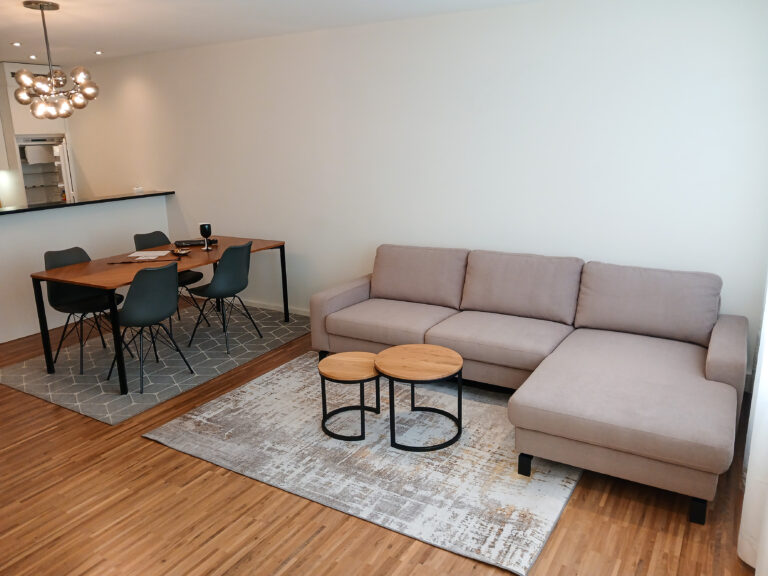 Serviced-apartment-bern-wabern-living-room-18W-04