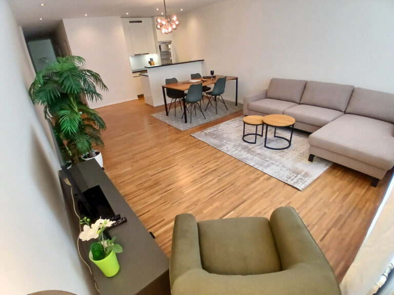 Serviced-apartment-bern-wabern-living-room-18W-05